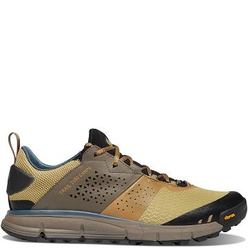 Men's Danner Trail 2650 Campo Shoes Brown / Blue | CA4693MA